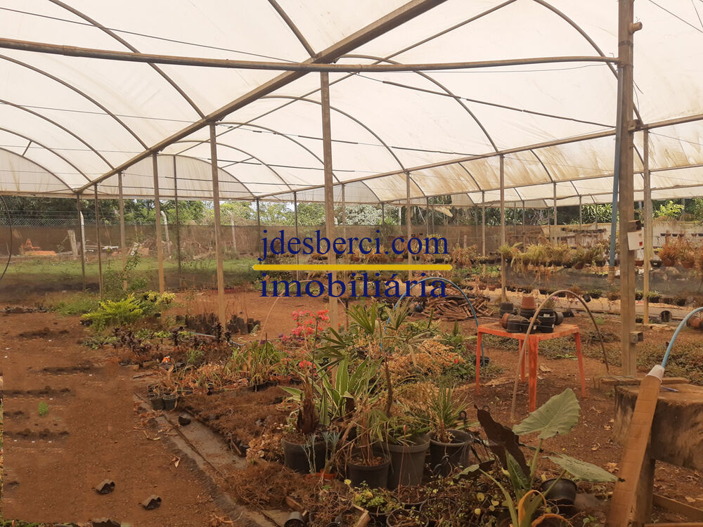 Chácara, 5 quartos, 6336 m² - Foto 23