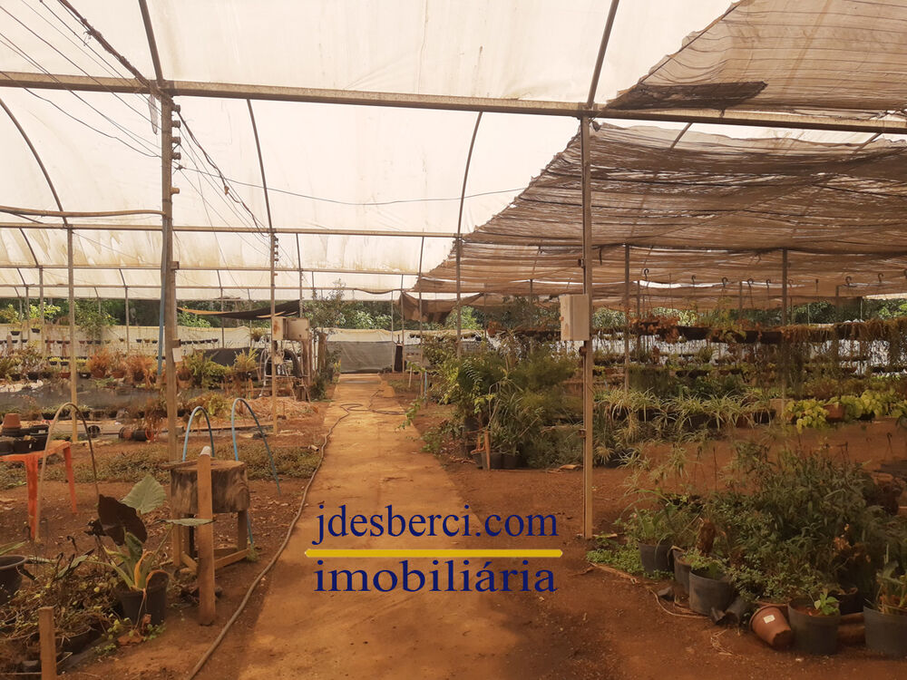 Chácara, 5 quartos, 6336 m² - Foto 21