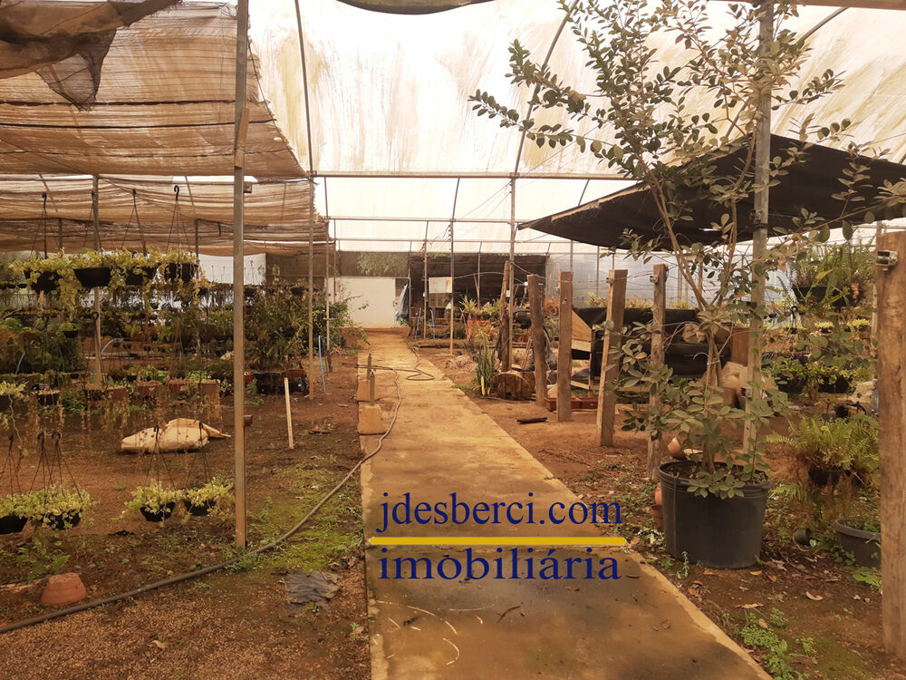 Chácara, 5 quartos, 6336 m² - Foto 26