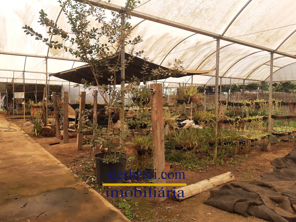 Chácara, 5 quartos, 6336 m² - Foto 25