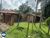 Chácara, 1000 m² - Foto 1