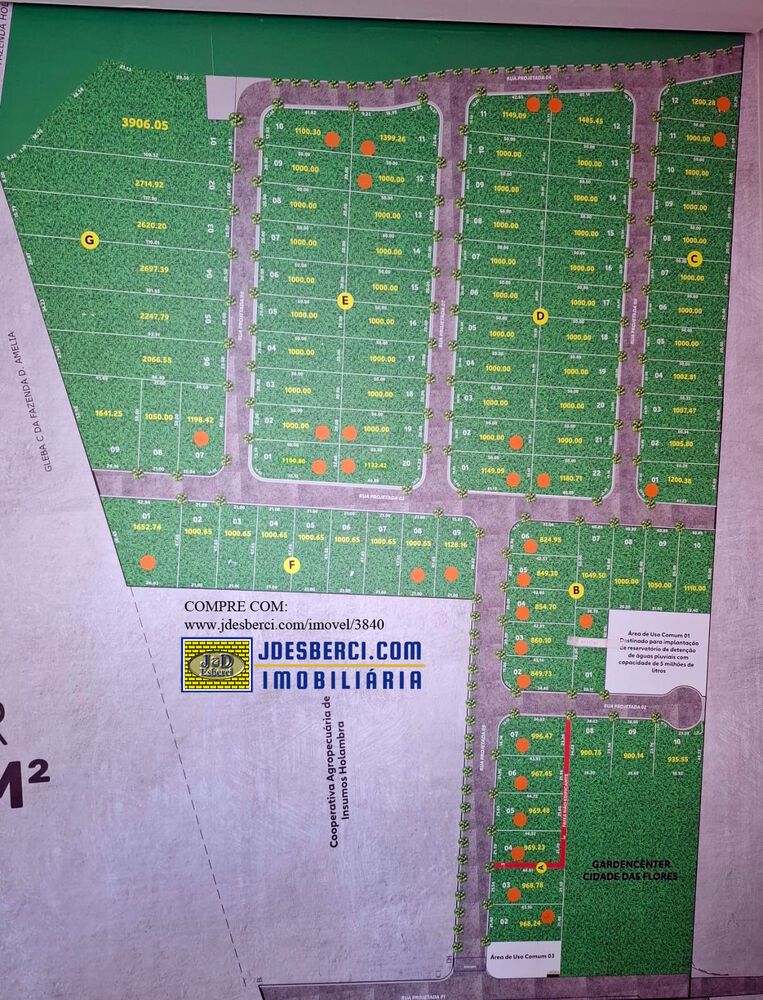 Terreno, 1000 m² - Foto 12