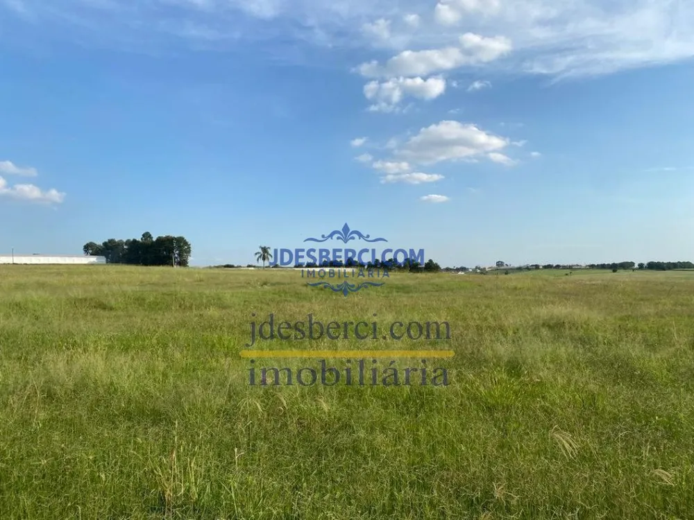 Sítio, 8 hectares - Foto 11
