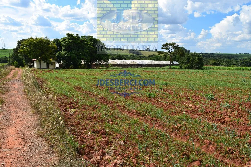 Sítio, 7 hectares - Foto 12