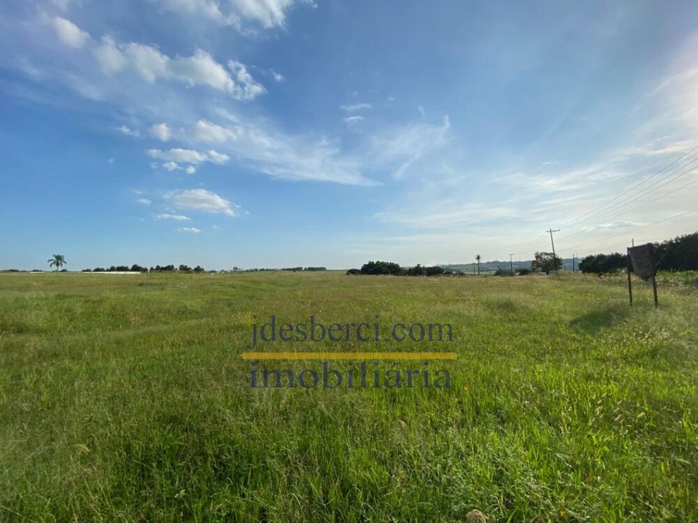 Terreno, 8 hectares - Foto 3