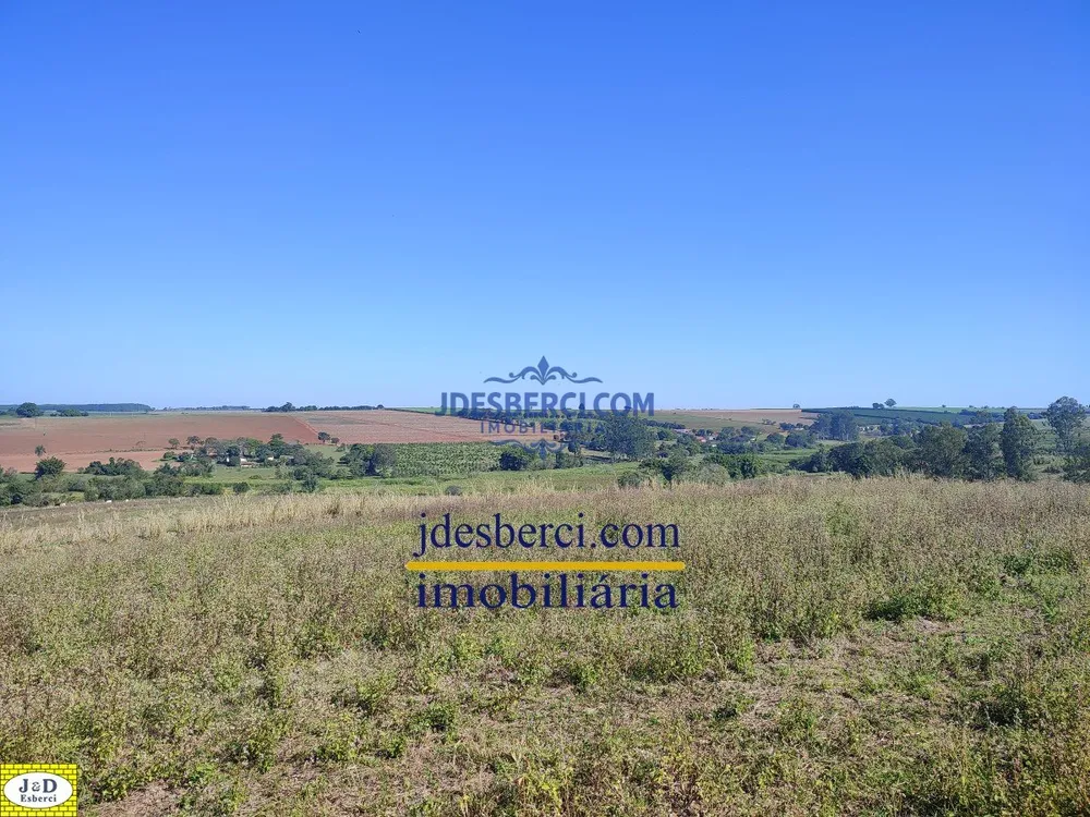 Sítio, 29 hectares - Foto 11