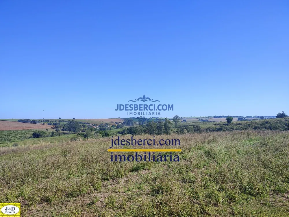 Sítio, 29 hectares - Foto 10