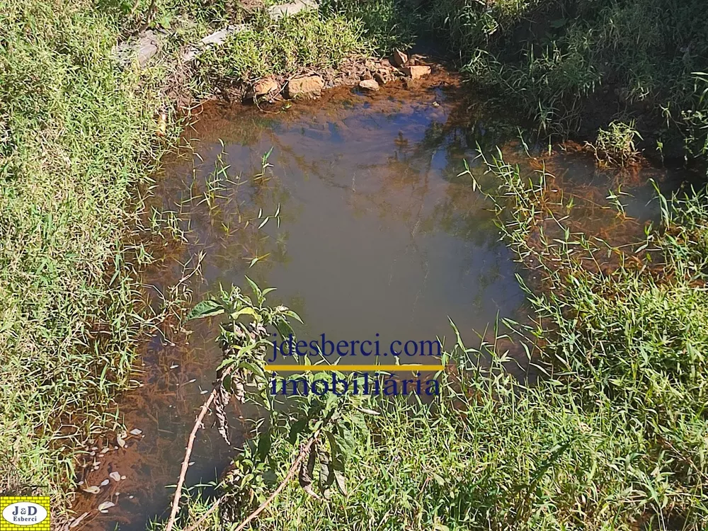 Terreno, 29 hectares - Foto 18