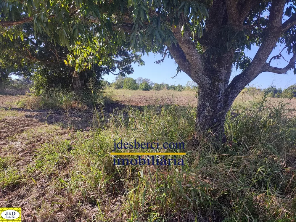 Terreno, 29 hectares - Foto 3