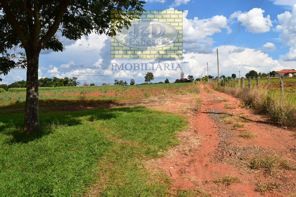 Sítio, 7 hectares - Foto 12