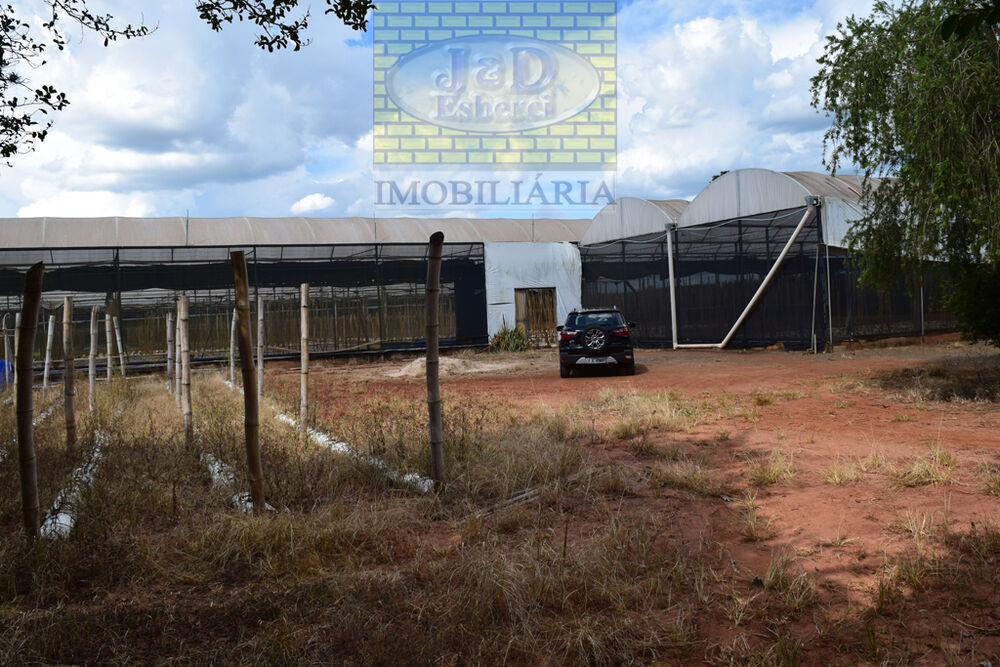 Sítio, 7 hectares - Foto 9