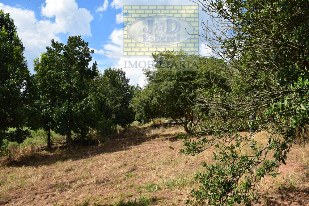 Sítio, 7 hectares - Foto 8