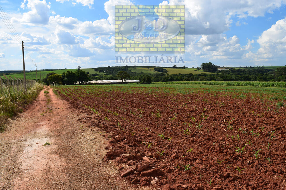 Sítio, 7 hectares - Foto 16