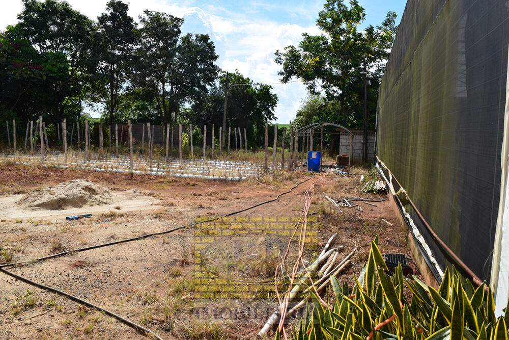 Sítio, 7 hectares - Foto 5