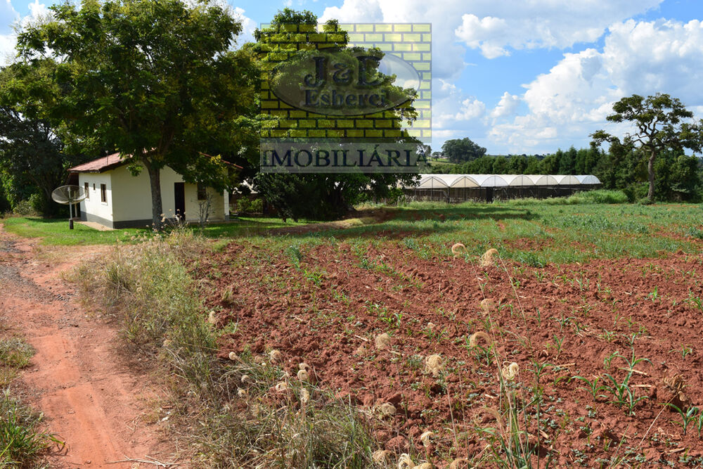 Sítio, 7 hectares - Foto 13