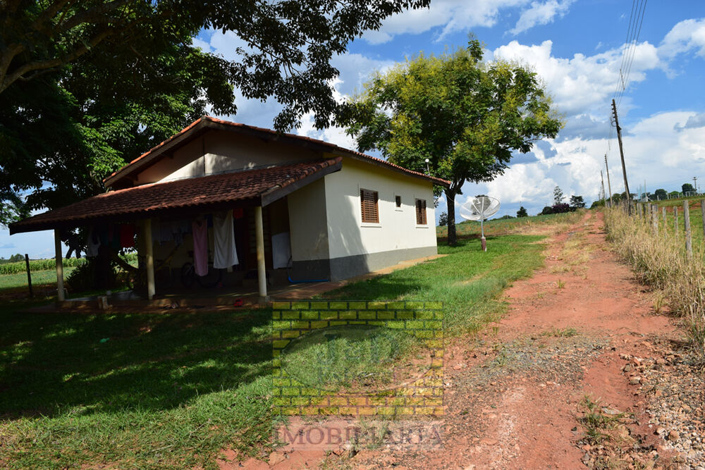 Sítio, 7 hectares - Foto 2