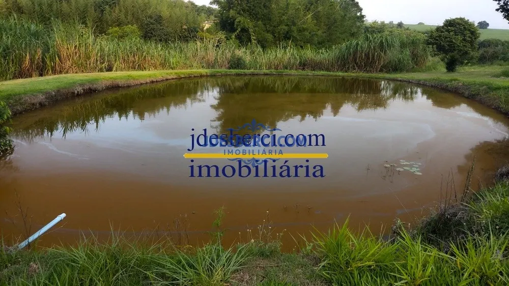 Sítio, 4 hectares - Foto 4