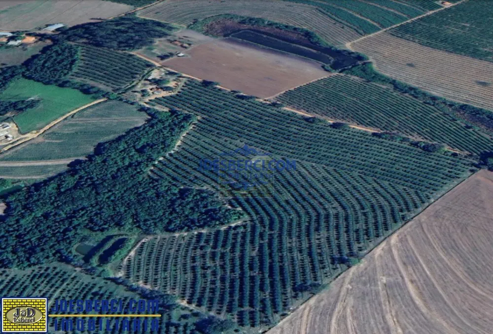 Sítio, 15 hectares - Foto 3