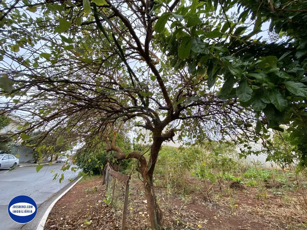 Terreno - Foto 2