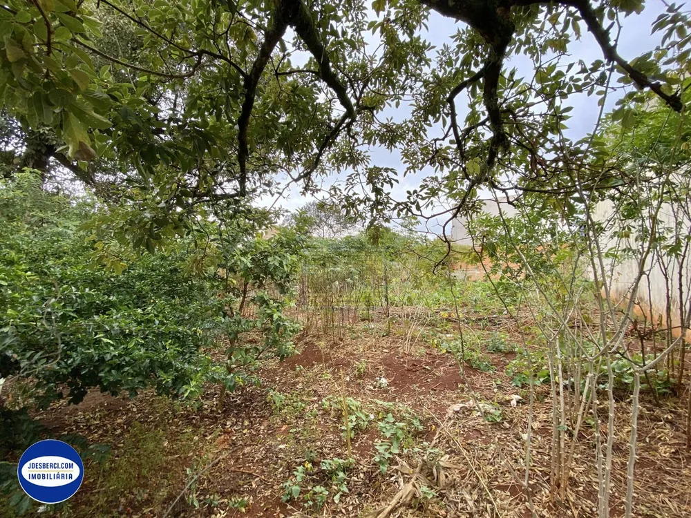 Terreno - Foto 5
