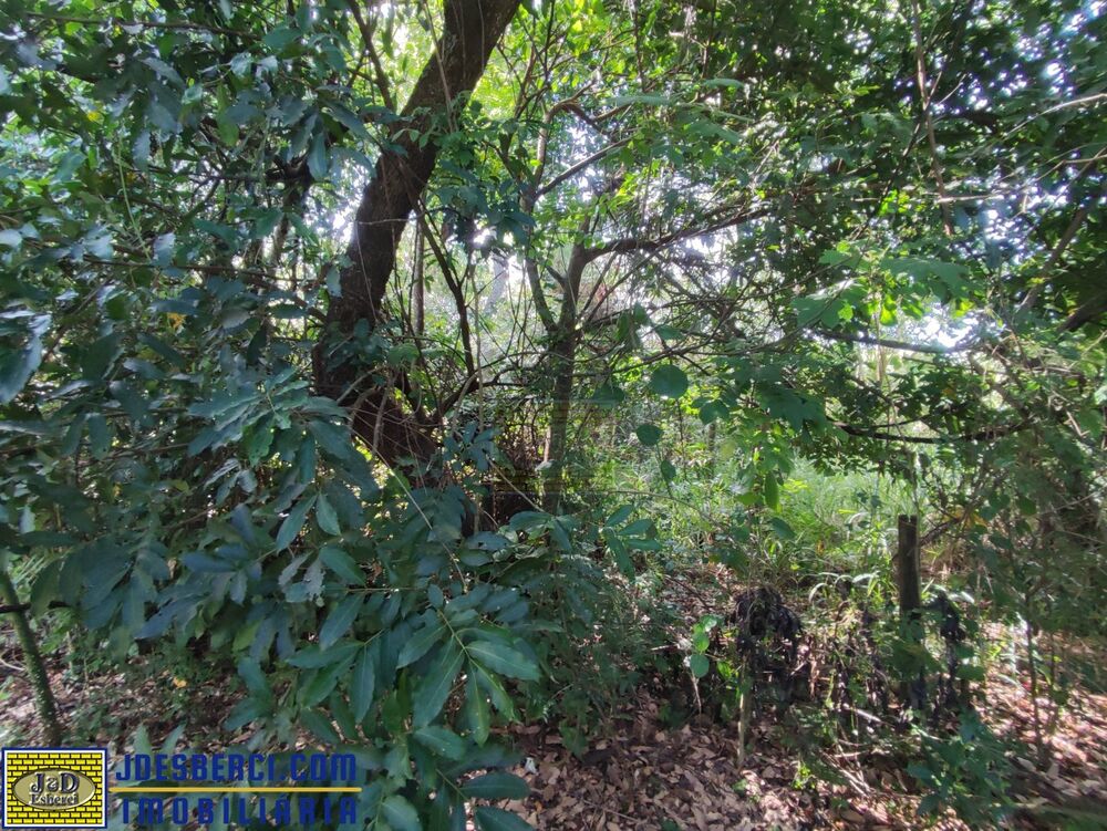 Sítio à venda, 80m² - Foto 12