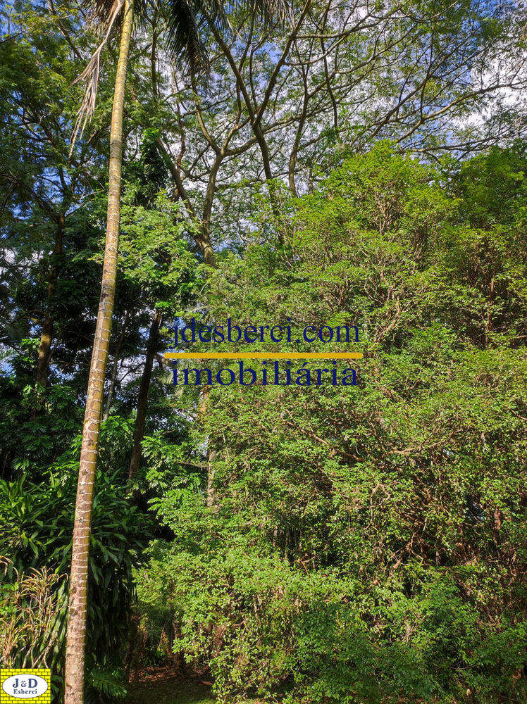 Sítio, 2 hectares - Foto 42