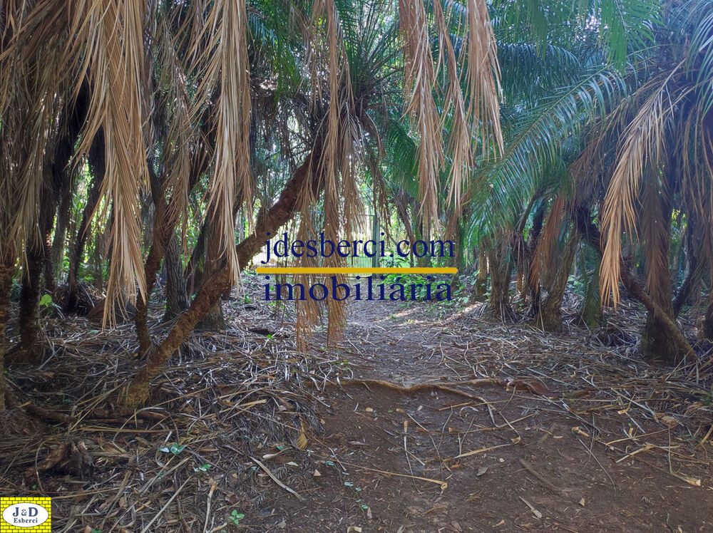 Sítio, 2 hectares - Foto 54