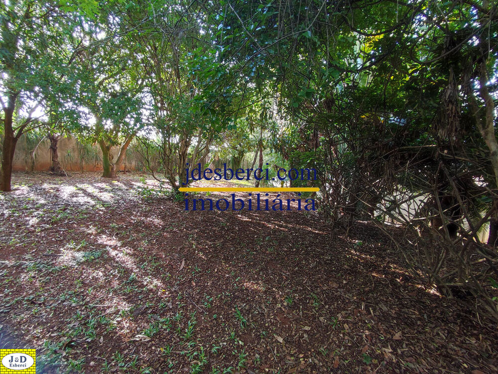 Sítio, 2 hectares - Foto 13