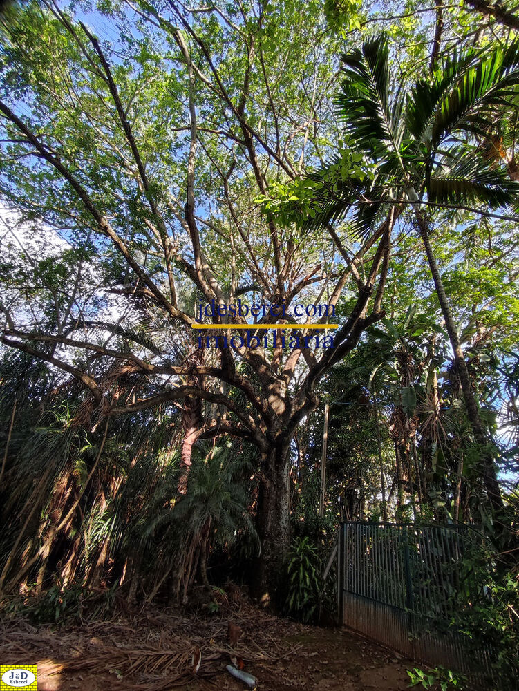 Sítio, 2 hectares - Foto 45