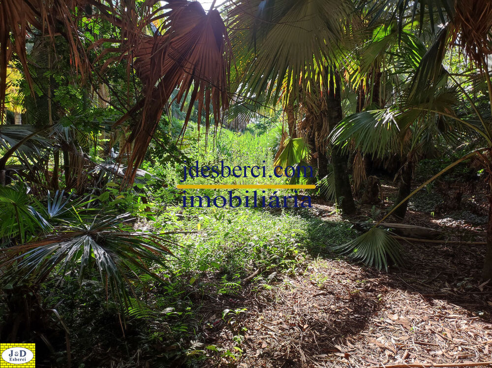 Sítio, 2 hectares - Foto 56