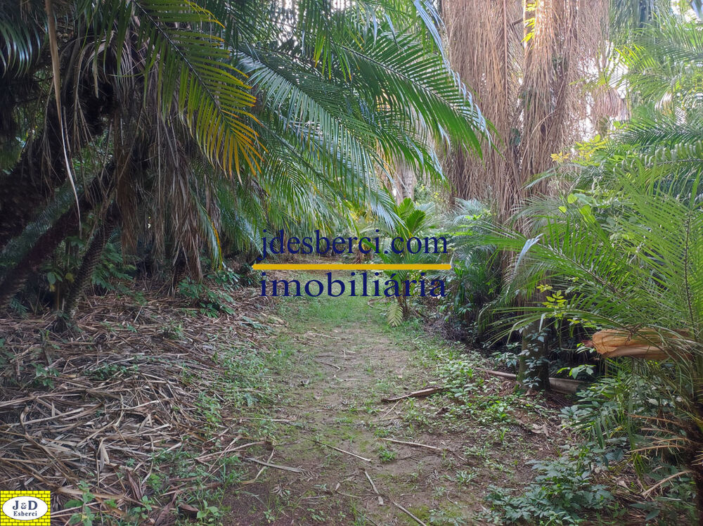 Sítio, 2 hectares - Foto 49