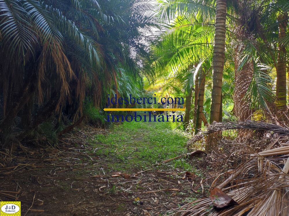 Sítio, 2 hectares - Foto 53