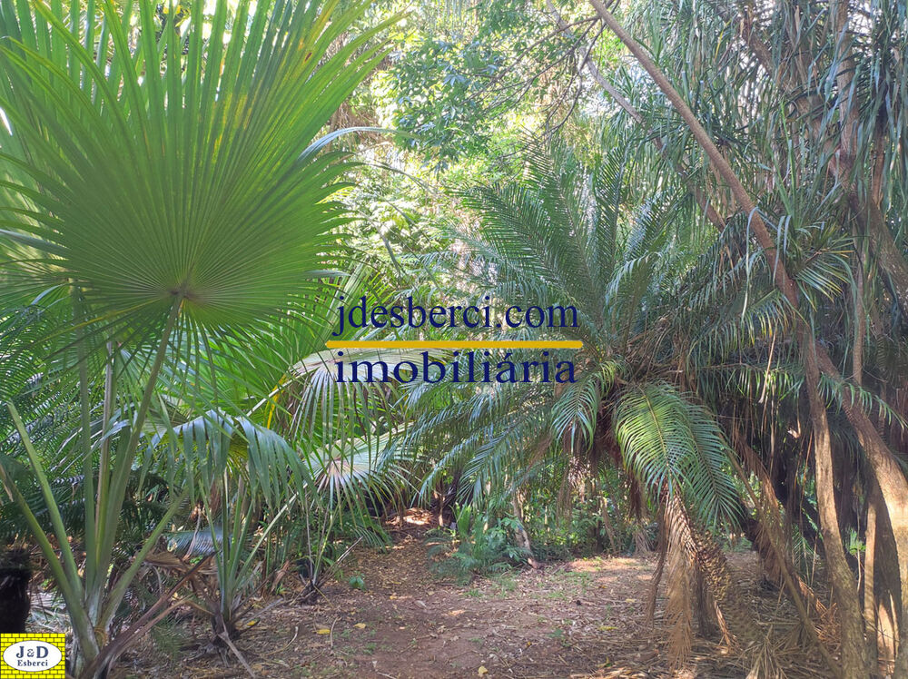 Sítio, 2 hectares - Foto 47