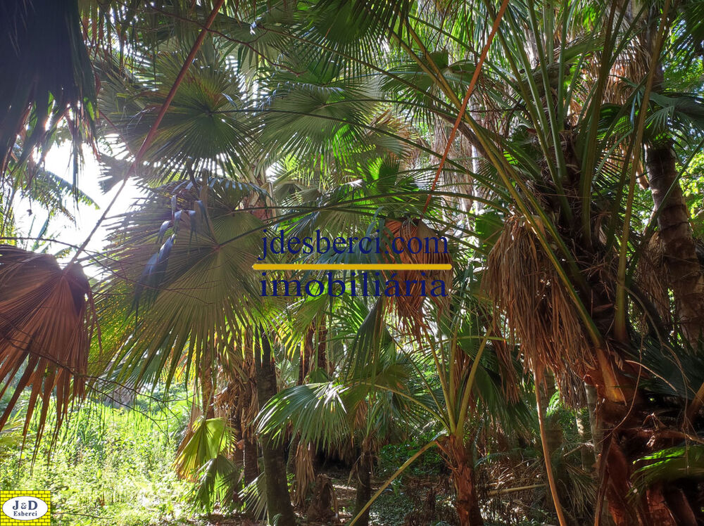 Sítio, 2 hectares - Foto 55