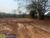 Sítio, 3 hectares - Foto 2