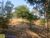 Sítio, 3 hectares - Foto 4