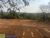 Sítio, 3 hectares - Foto 3
