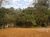 Terreno - Foto 5