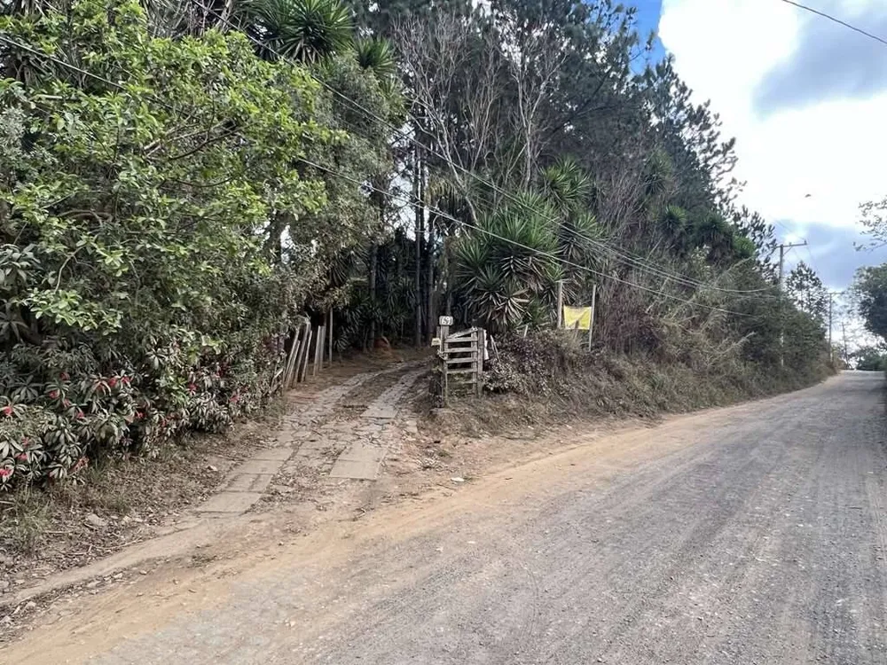 Terreno - Foto 3