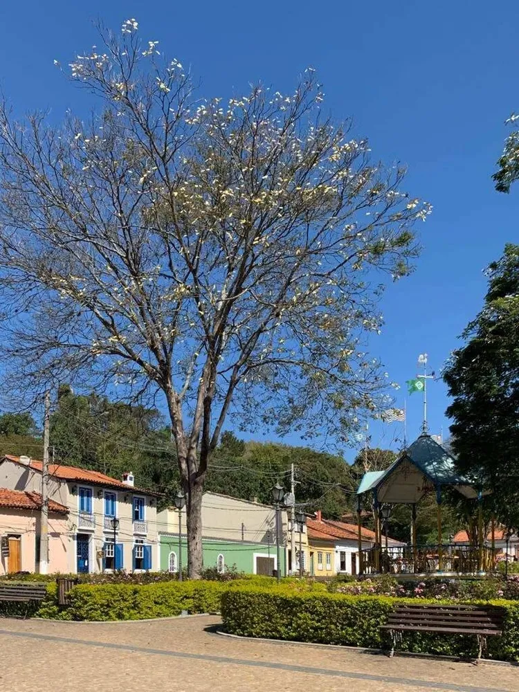 Prédio Inteiro, 1508 m² - Foto 15