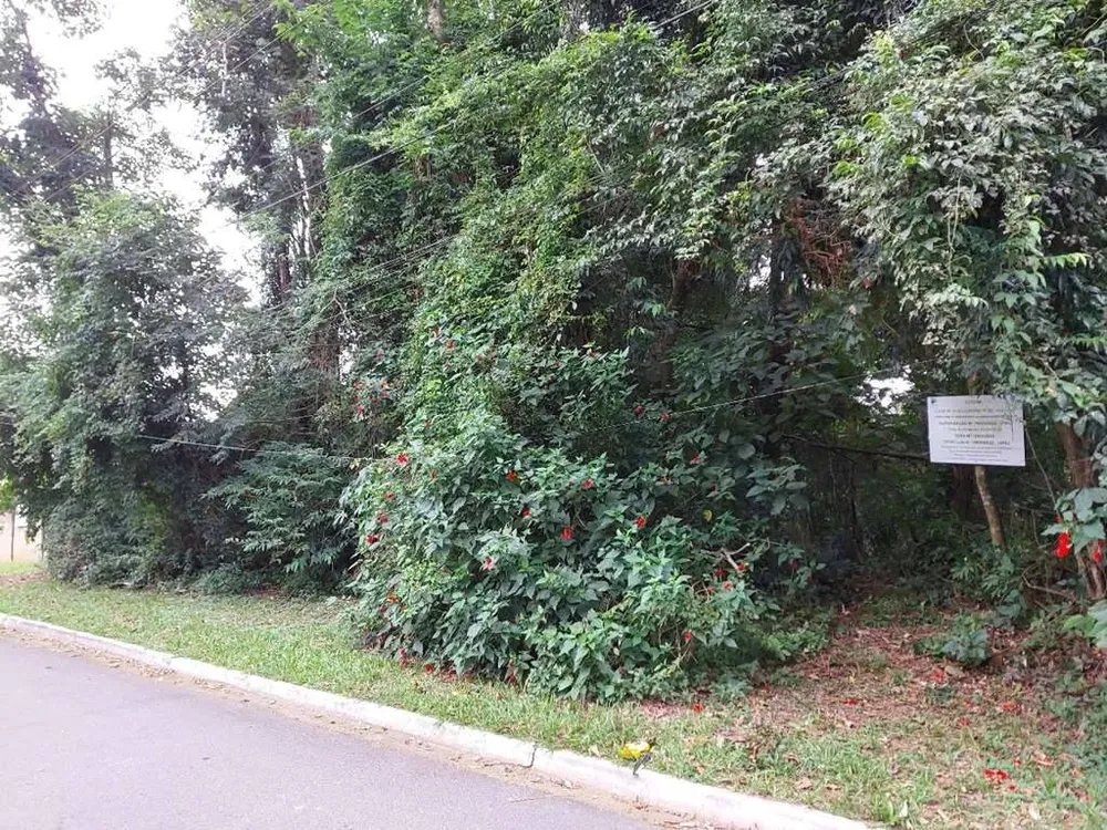Terreno - Foto 5