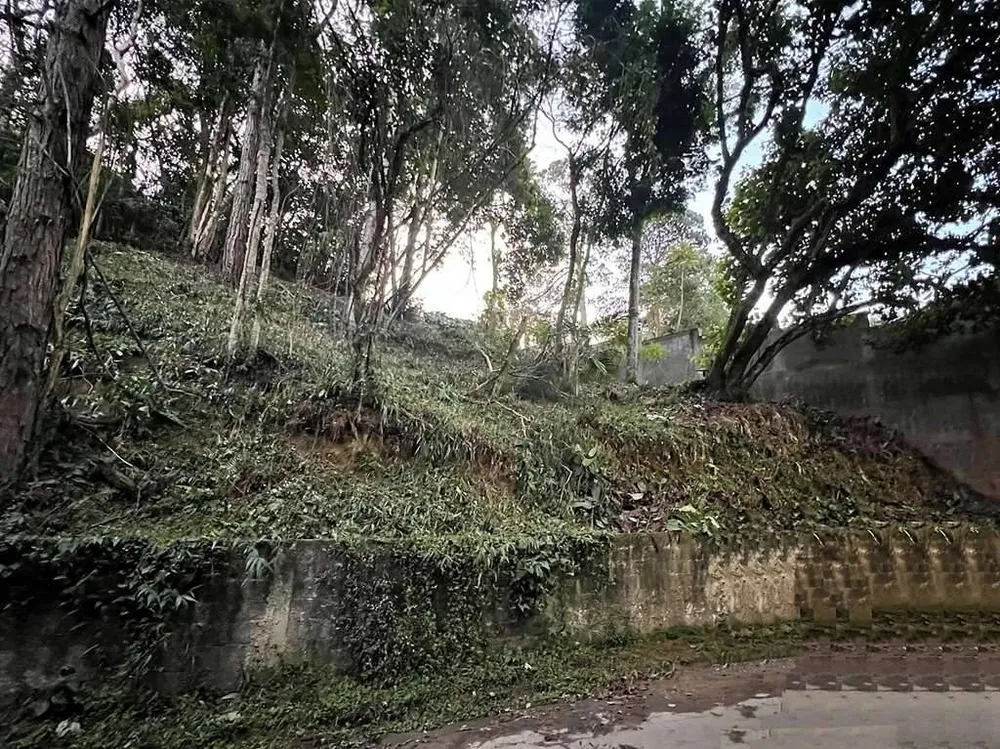 Terreno - Foto 4