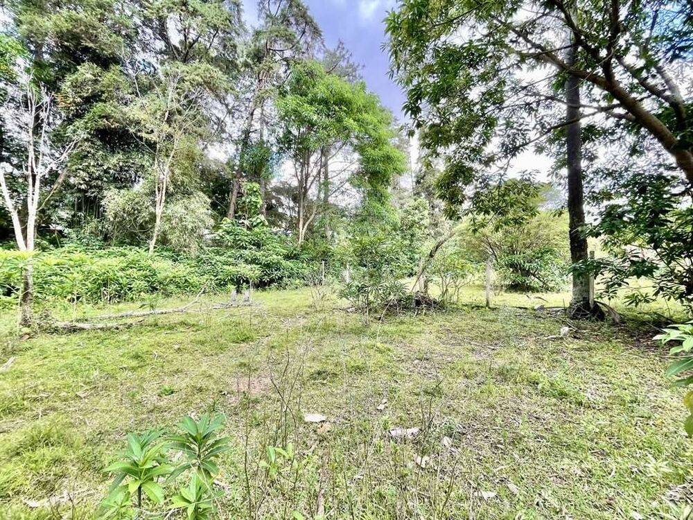 Casa à venda e aluguel com 5 quartos, 756m² - Foto 6