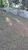 Terreno - Foto 5