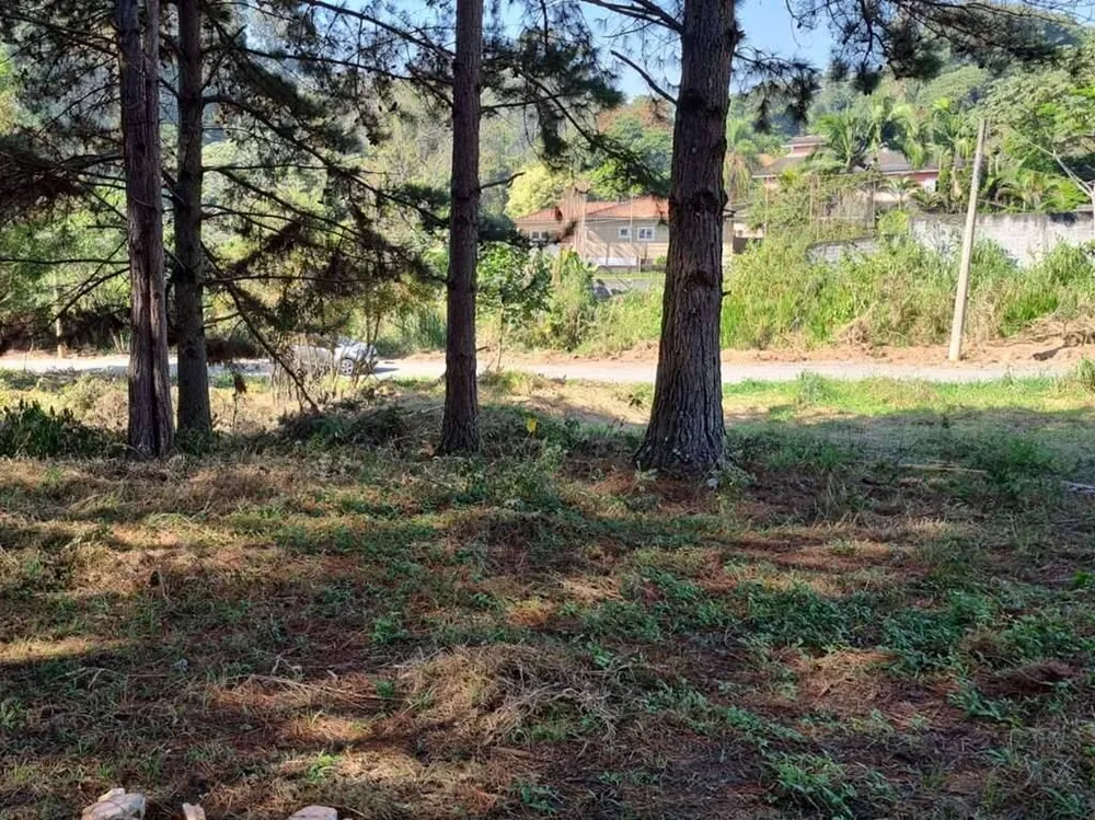 Terreno - Foto 9