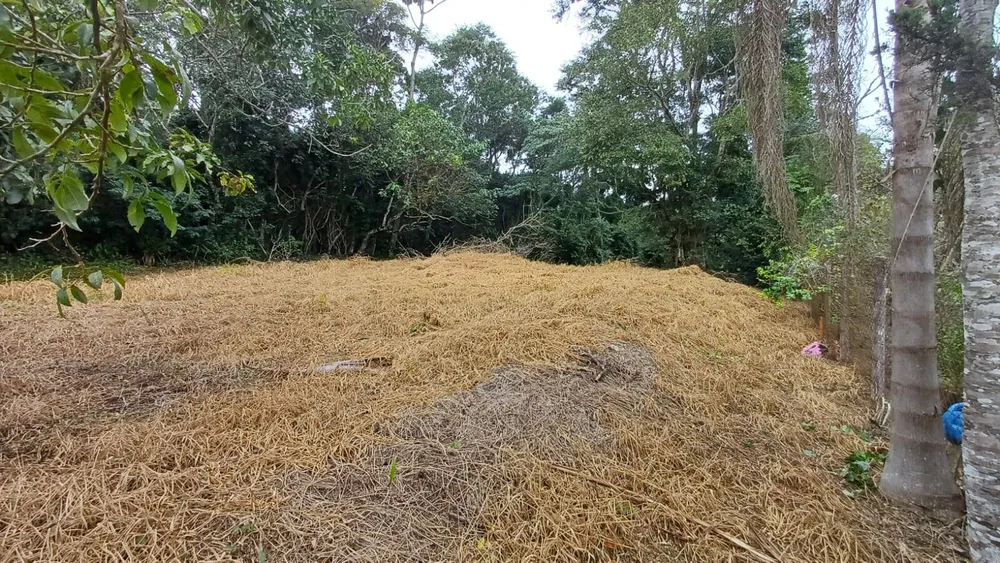 Terreno, 1800 m² - Foto 1
