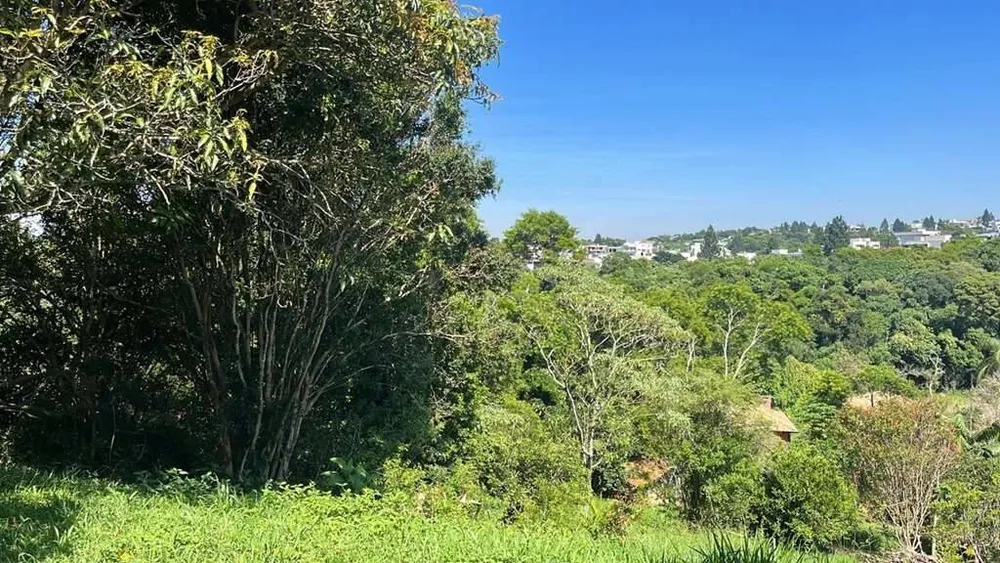 Terreno - Foto 7