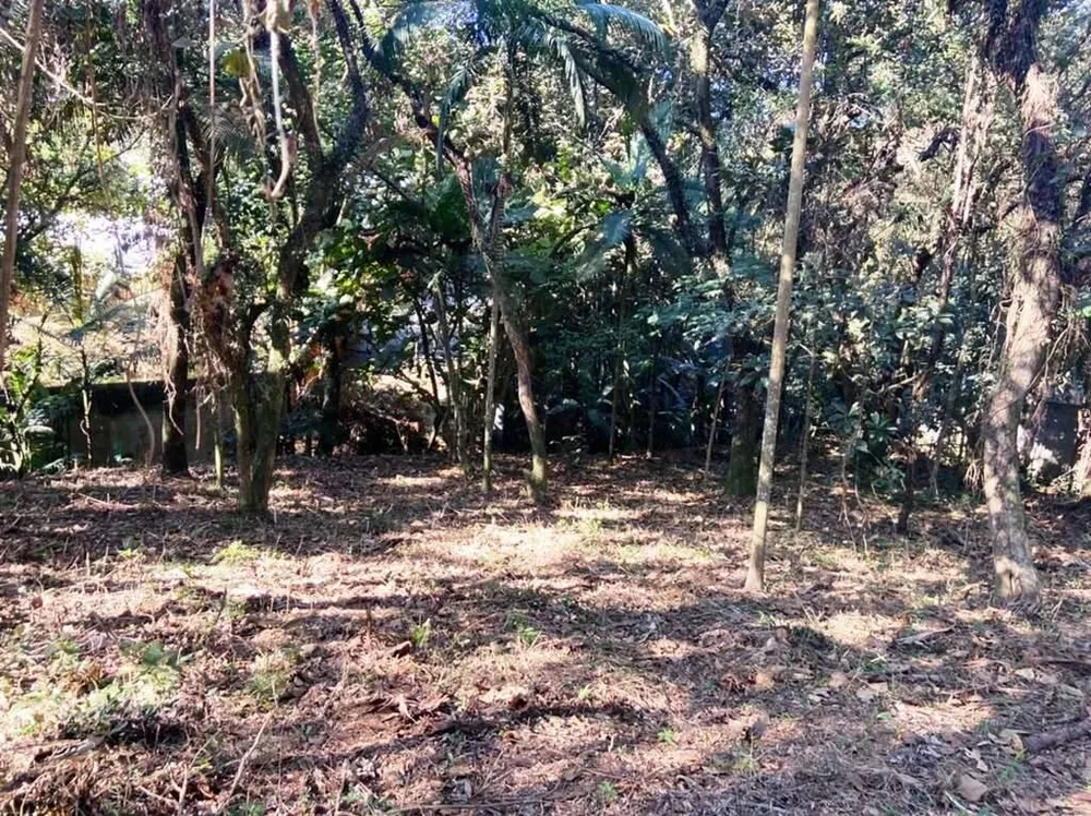 Terreno - Foto 8