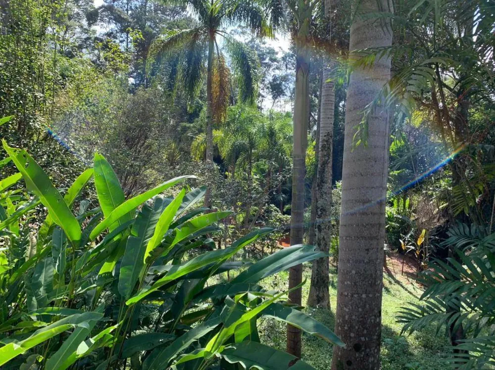 Terreno, 4300 m² - Foto 12