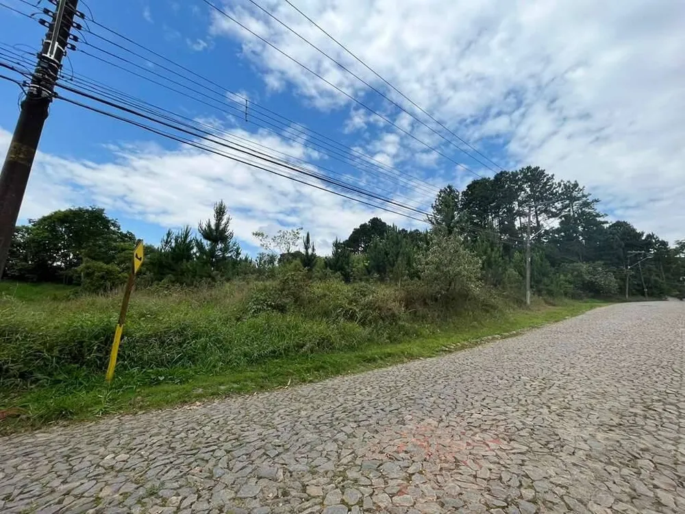Terreno, 4973 m² - Foto 6